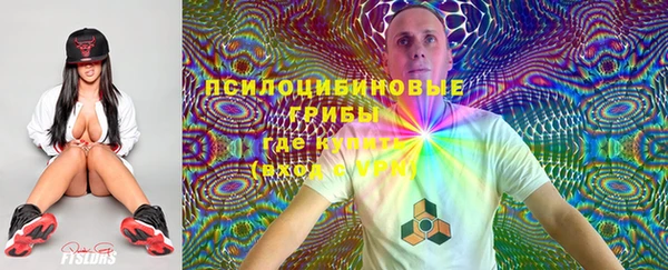 2c-b Абаза