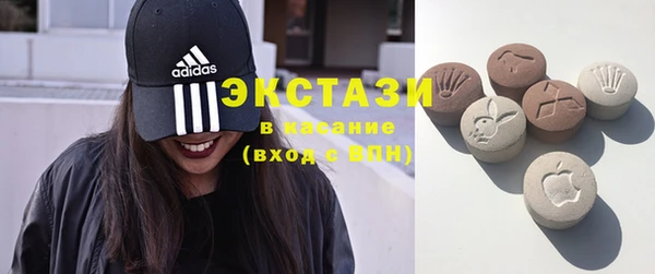 стаф Алексин