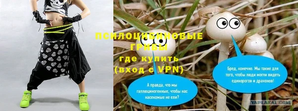 2c-b Абаза